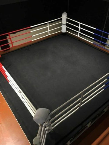 Buy Professional Wrestling Boxing Ring Canvas Cover Sheet MMA UFC WWE Size  14x14 Online at desertcartINDIA